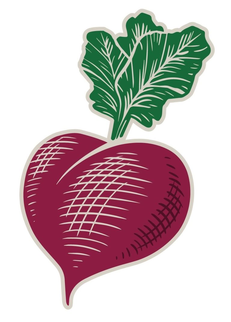 362267565 703821201760331 6788960058114969101 n 768x1068